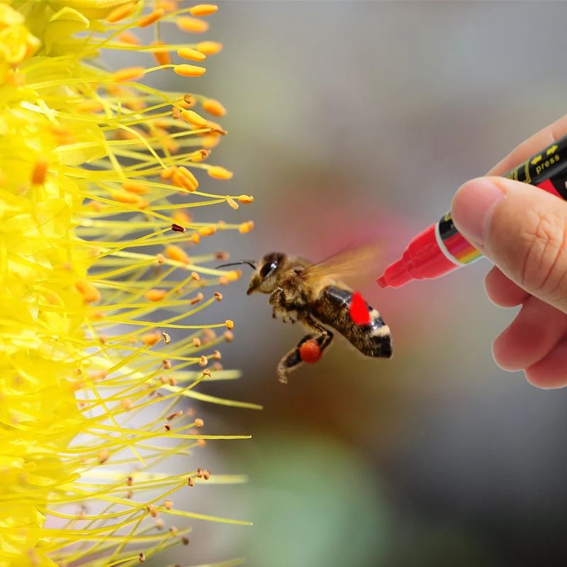 

1Pc Bee Marker Pen Set 8 Colors Bee Queen Marking Colorful Highlighter Bees and Beekeeping Equipment Beekeeper Tools