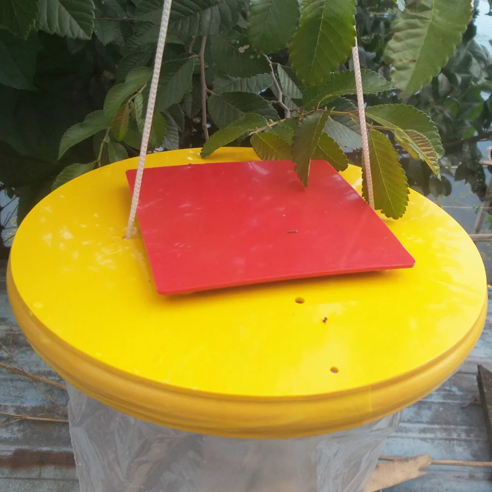 Красный Drosophila муха ловушка Топ Catcher конечная муха Ловца сад дома крытый/Открытый насекомых ошибка убийца