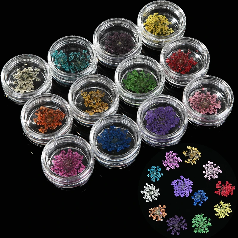 Nail Art Dried Flowers Suppliers And With Tongs Or Use Your Thumbs To Apply Even Pressure The Sidewalls This Enhances Shape Of Nail By Adding A C Curve Free Edge