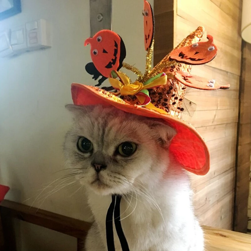Новое поступление, шляпа для питомца кошки, шапка для питомца s, тыква, паук, ведьма, шляпа для животного, костюм для питомца, украшение на Хэллоуин, одежда Кепка для кошки, Декор