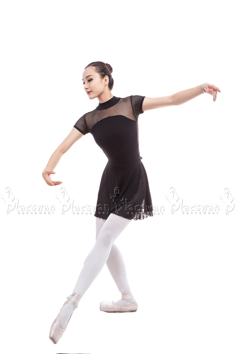 DS523 (4)