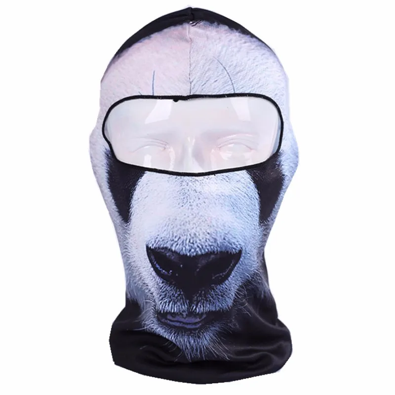 HTB1jAtwHVXXXXcfXVXXq6xXFXXXd