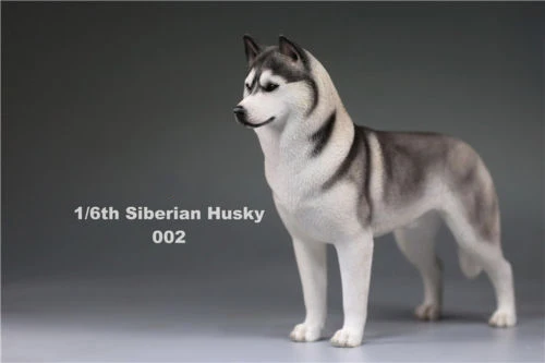 6 цветов, аксессуары для 1:6, Siberian Husky Simulation animals, фигурка для шестилетней собаки, модель игрушки для 12 дюймов, фигурка - Цвет: 002