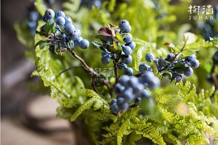 frutas 4 pçs lote americano tiro adereços nordic rústico