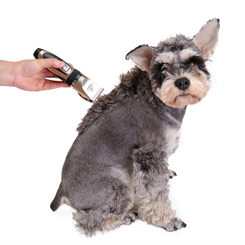 TB2gMbihz3z9KJjy0FmXXXiwXXa_!!2193552176