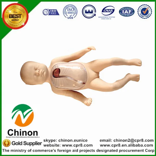 

BIX-L67B Peripheral And Central Vein Cannula Newborn Infant Model MQ160