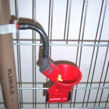 

howells 10 Pcs Chicken Waterer Poultry Hen Quail Water Cups Nipple Waterer Bowl Automatic Chicken Drinker Farm Animal Supplies