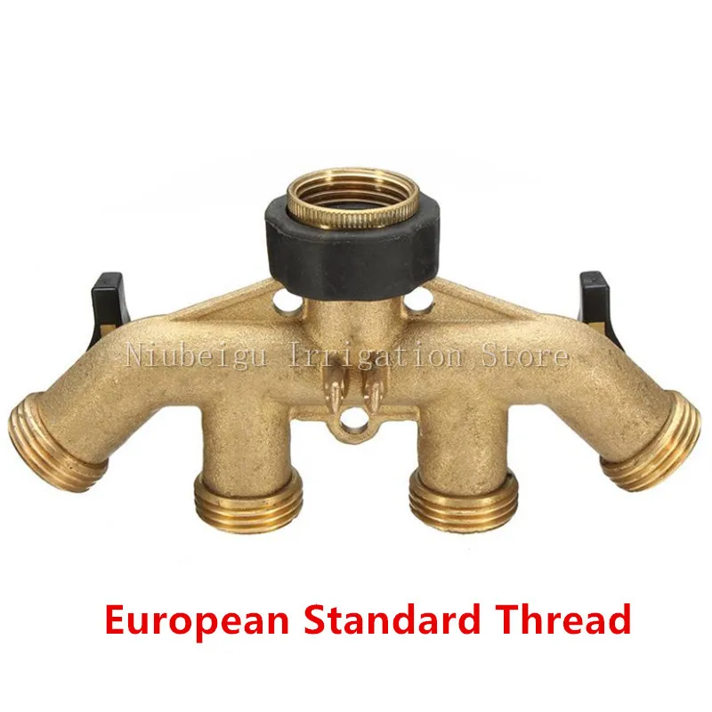 European