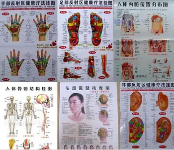 

free shipping 10 pcs Scrapping healthcare human acupuncture wall chart diagram foot hand head ear acupuncture meridian chart
