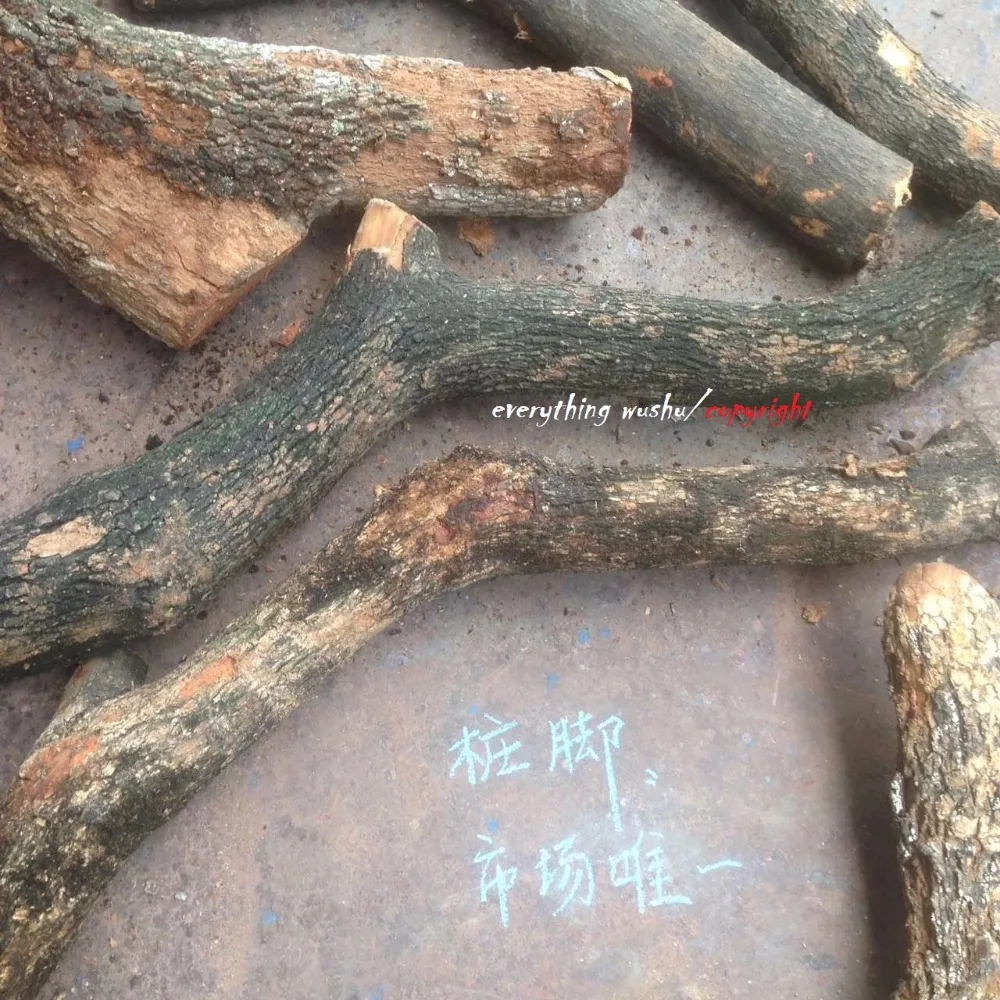 mmexport1503382196907