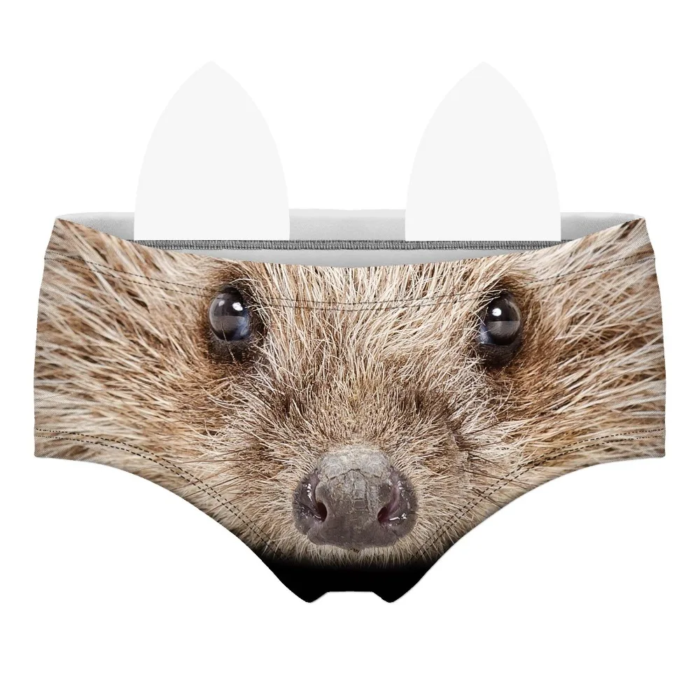 55109 hedgehog wiz front 
