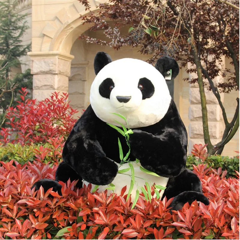 panda 1