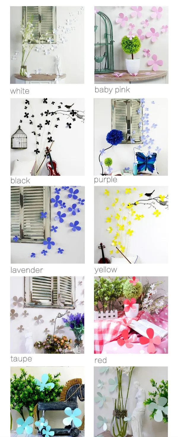 color family