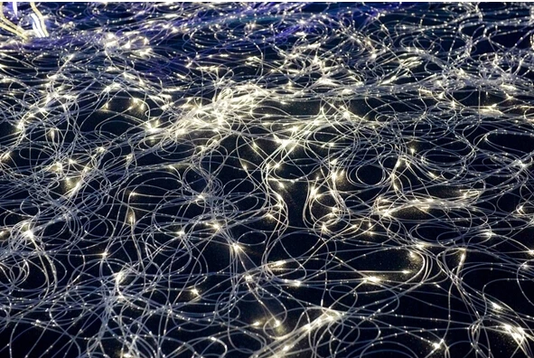 fiber optic curtain 10