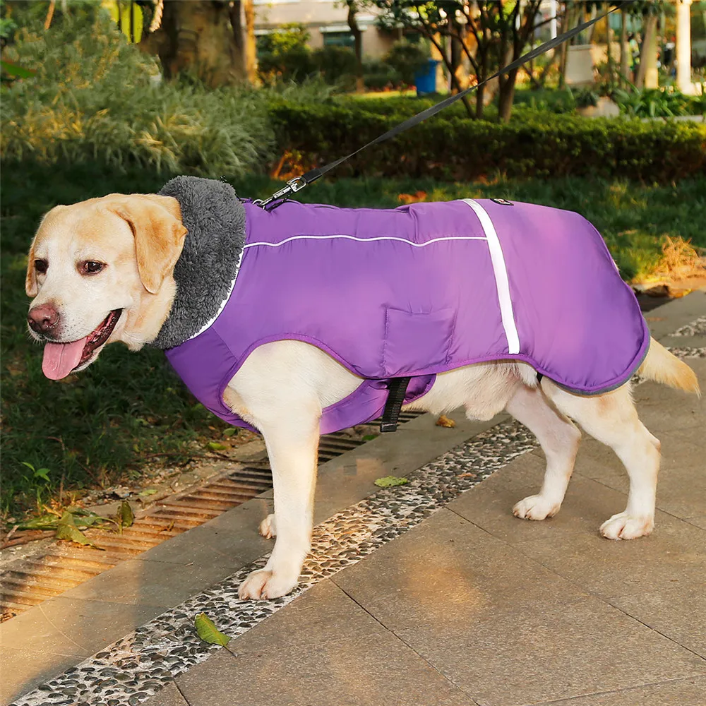 Waterproof Coats for Dog