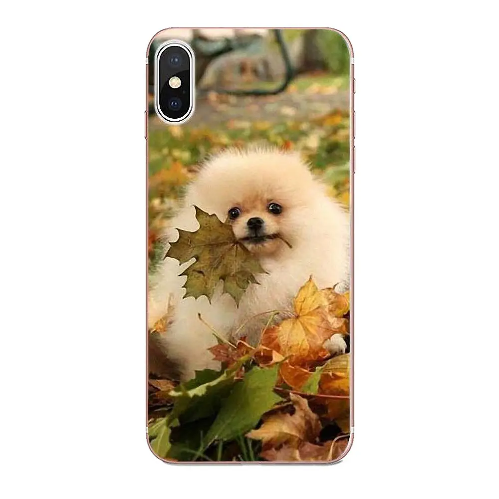 Pomeranian Dogs симпатичный чехол для Apple iPhone X XS Max XR 4 4S 5 5C 5S SE 6 6S 7 8 Plus Мягкий Силиконовый
