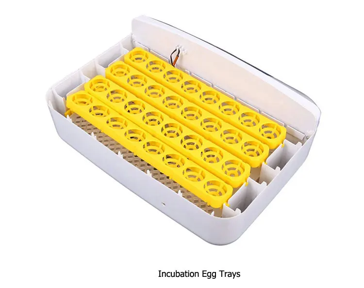 32-eggs-incubator-755