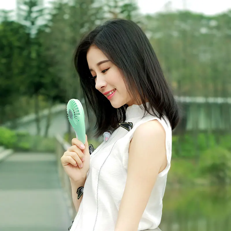 fan  (13)