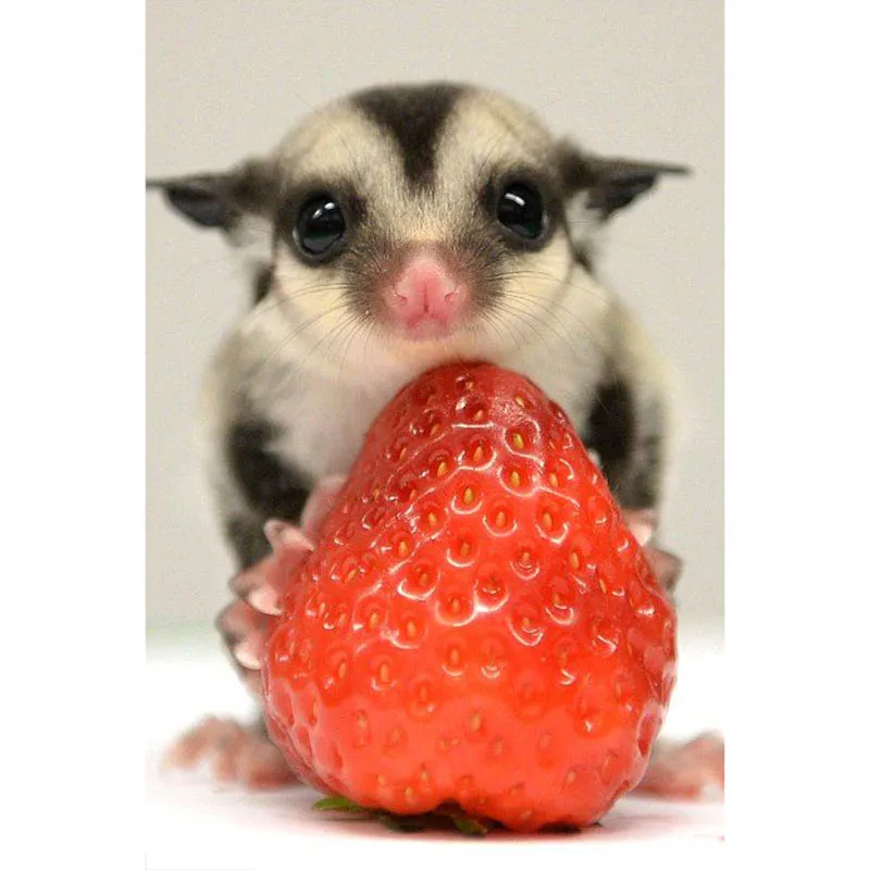 e0b38c0edccfdd46633b7865207b754c