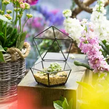 Small Modern Artistic Clear Jewel boxed Pentagon Shape Glass Geometric Terrarium Plant Succulent Planter Box Moss