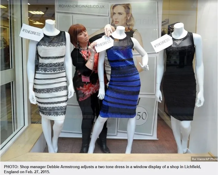 royal blue lace detail bodycon dress