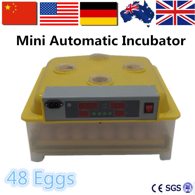 

Hot Sale 48 Eggs Mini Incubator 220V Fully Automatic Mini Chicken Eggs Incubator For Sale
