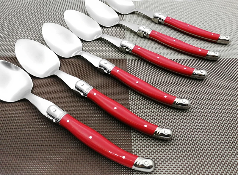 laguiole dinner spoon set (11)