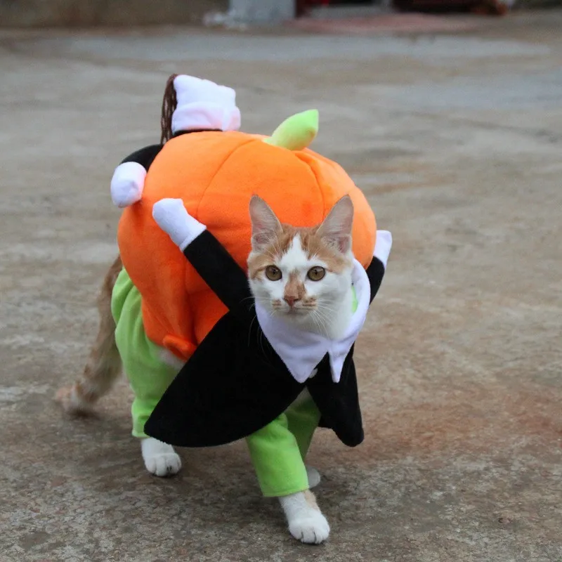 Funny Pet Cat Dog Costumes Dog Apparel Clothes For Christmas Halloween Cosplay Move Pumpkin Costume Jacket Cloak Dog Accessories1