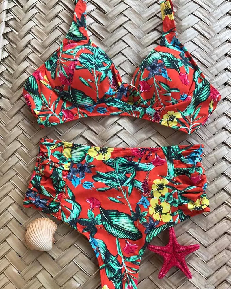 43402701_325431588273946_6106937277181591552_n