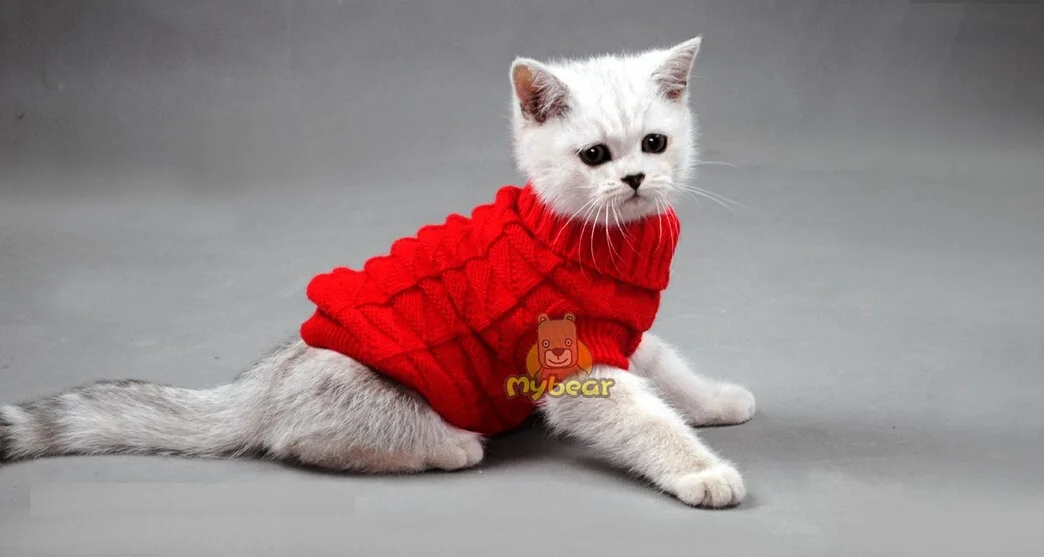 Red Свитер для собаки для кошки, Сфинкс, пальто для кошки, Spagetti, теплый, Осень-зима, джемпер для питомцев, одежда для кошек, маленьких собак, домашних животных - Цвет: Red