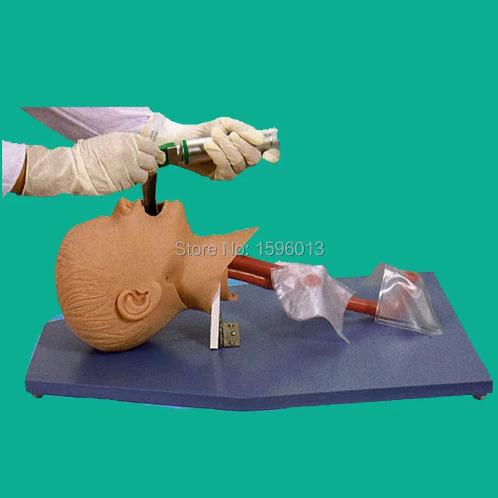 Advanced Child Tracheal Intubation Model, Intubation trainer model