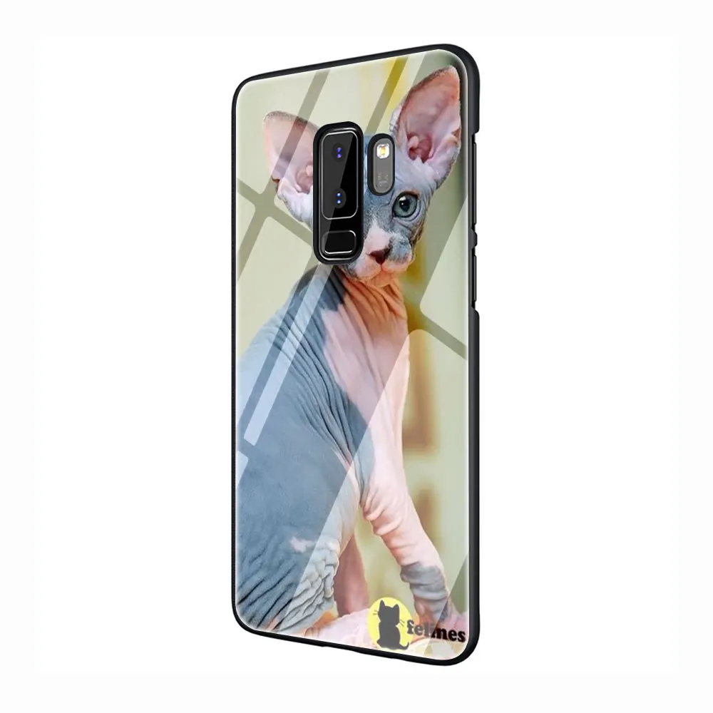 Кошка Сфинкс закаленное Стекло Телефон чехол для Galaxy S7 edge S8 9 10 Plus, Note 8, 9, 10, A10 20 30 40 50 60 70 - Цвет: G4