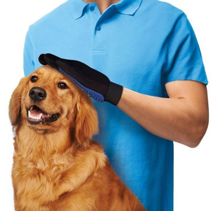 4317959457_101838456