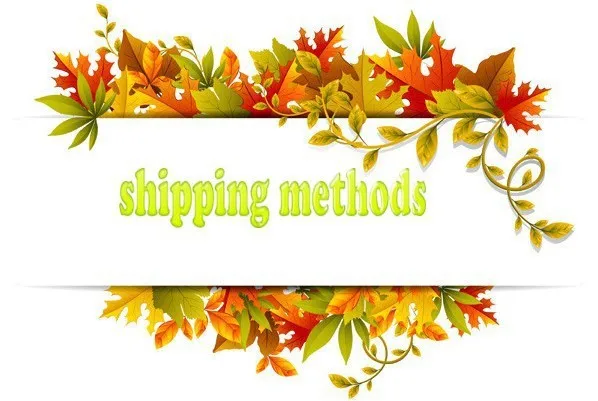 shipping methods
