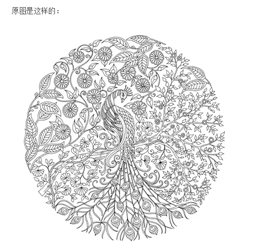 Secret Garden ENGLISH Coloring Book For Children And Adult Relieve Stress Kill Time Graffiti Painting Drawing In Photo Albums From Home On