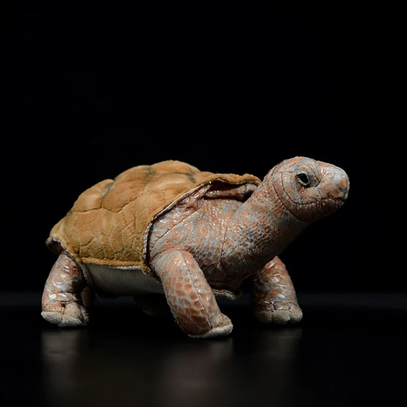 26 см Галапагосская гигантская черепаха реалистичные хелоноиды галапагоэнсис моделирование черепаха кукла милая плюшевая зверушка Детская плюшевая игрушка Подарки