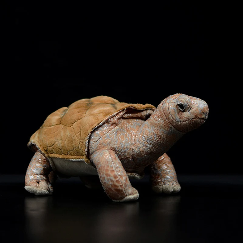 

26cm Galapagos Giant Tortoise Lifelike Chelonoidis Galapagoensis Simulation Turtle Doll Cute Stuffed Animal Plush Toy Kids Gifts