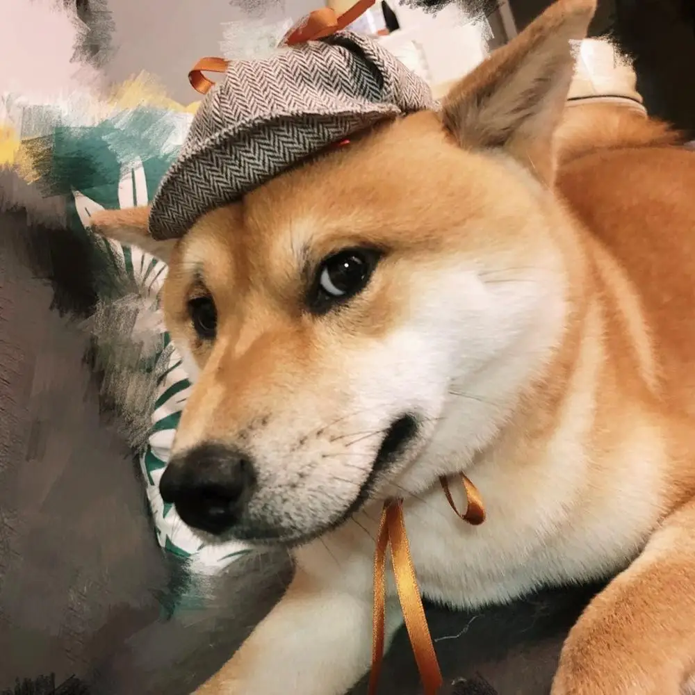 Новинка шляпа для питомцев косплея Pikachu ручная работа мультяшная Кепка кошек и