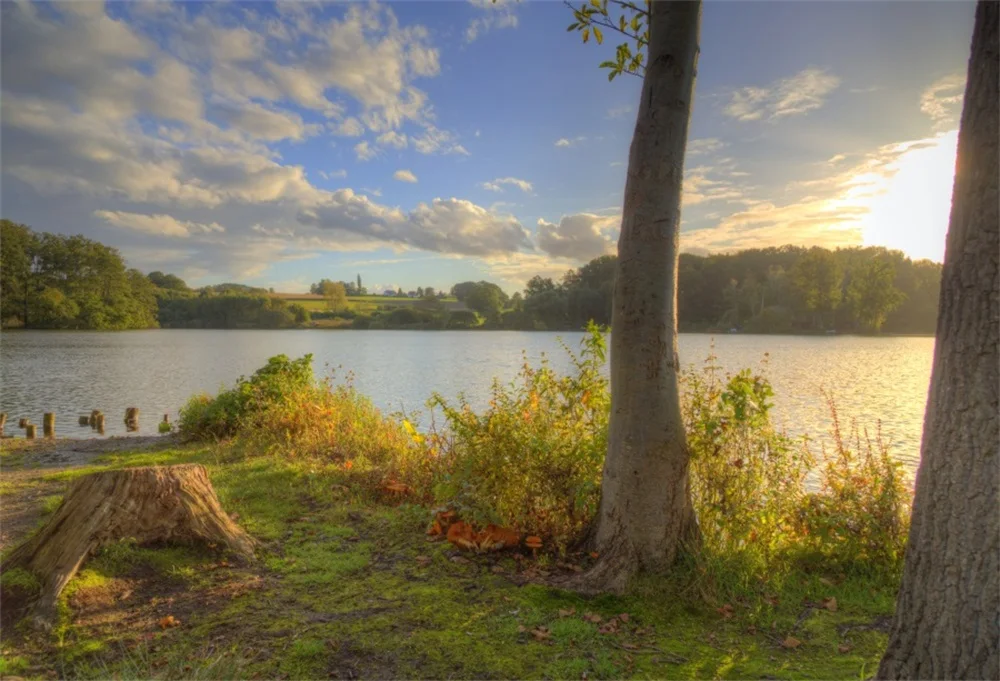 

Laeacco Dusk Lakeside Tree Grass Sunset Scenic Photographic Backgrounds Customized Photography Backdrops For Photo Studio