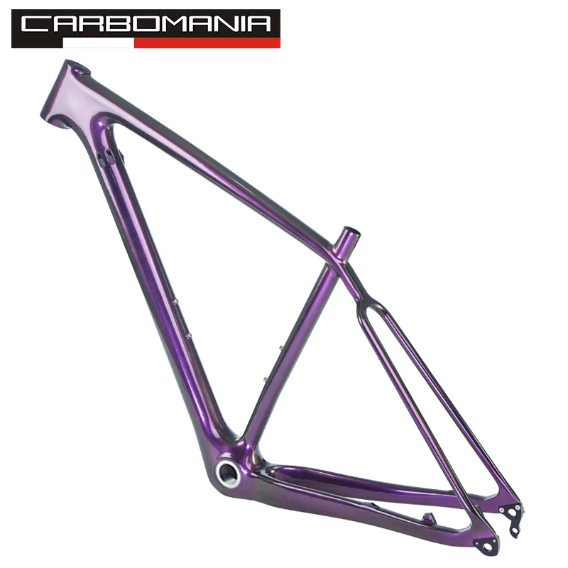 29er Carbon Frame Chameleon color MTB 