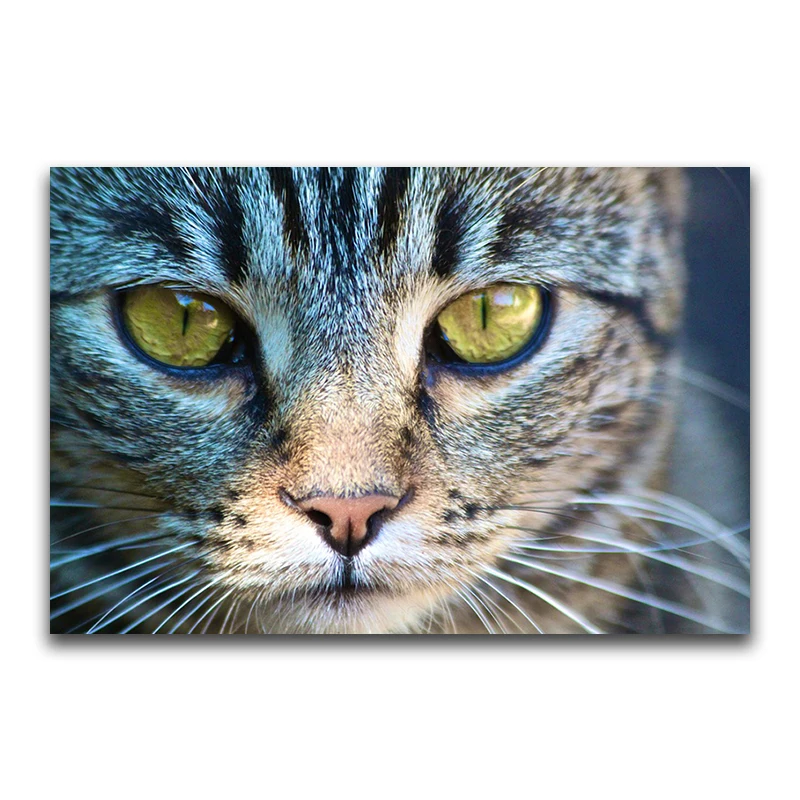 DIY 3D Diamond mosaic animal Full Round Diamond painting Brown hair Yellow eye Full Square Diamond embroidery Cross stitch Cat