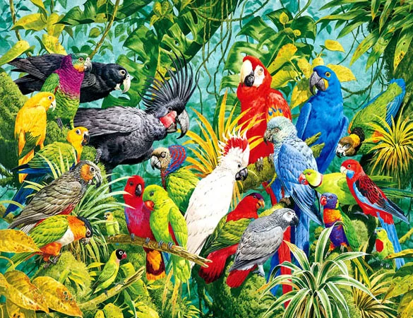 

A1439 Diamond Embroidery Home Decor Parrot 100% Resin Tool dril Painting Cross Stitch Fashion Mosaic Needlework
