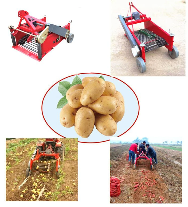 Завод suплоскогубцы машина для сбора урожая сладкого картофеля, картофельный луковый комбайн, арахисовая машина для сбора урожая картофеля на продажу