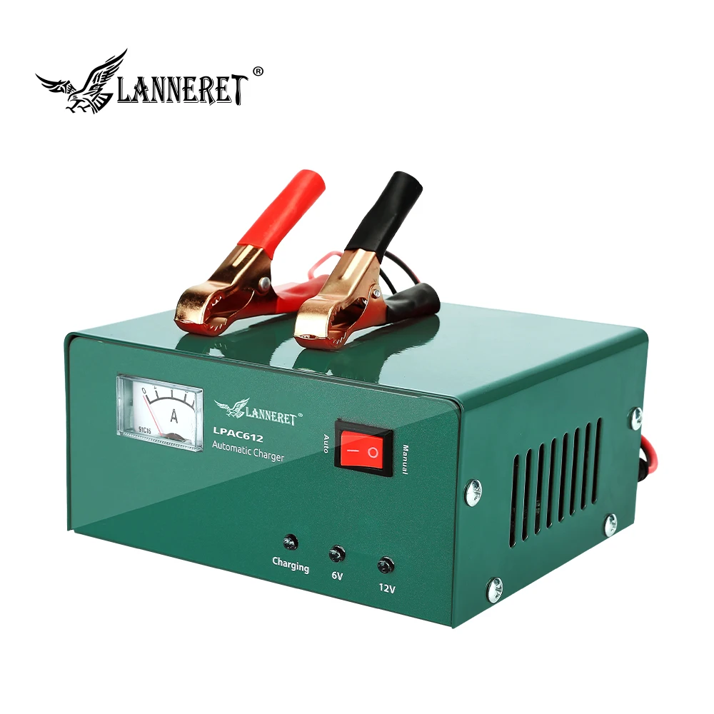 Multi battery pulse charger assistlader