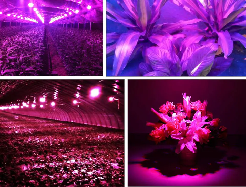 COB led plant grow light (12)