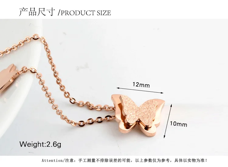 3288281811_402130531