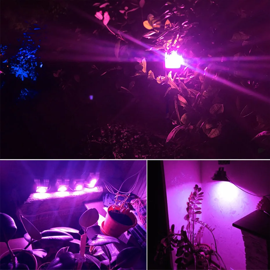 Полный спектр Cob Чип-диод лампочка светодиодное освещение для выращивания светильник Driveless 20w 30w 50w 220V для комнатных растений рост рассады и с цветочным узором