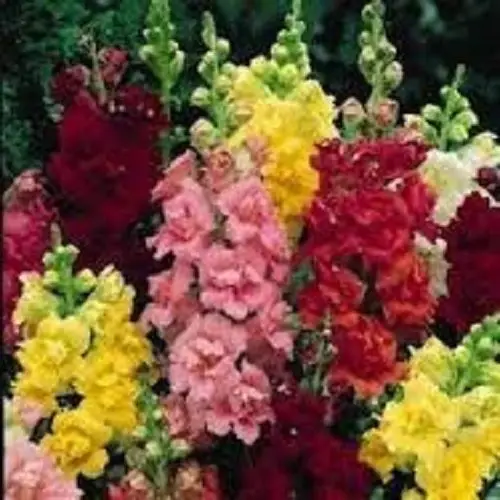 Compare prices on garden palette online shopping/buy low price ...