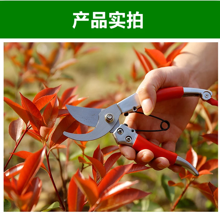 Новые садовые ножницы для обрезки инструмент импортный Марганцевый Стальной фруктовый дерево цветы и растения ножницы бытовой секатор
