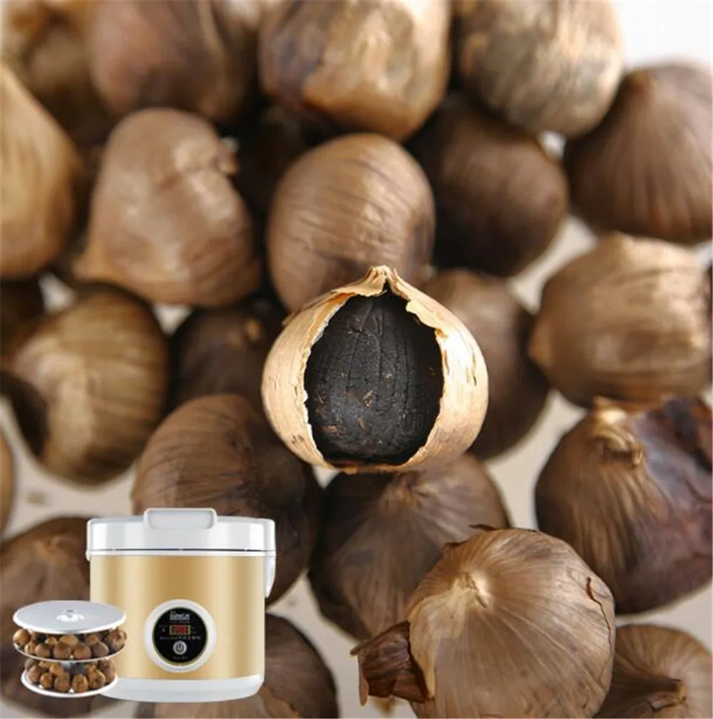 black garlic machine03